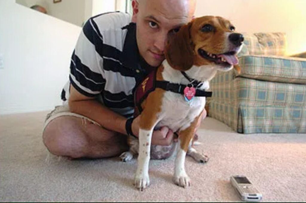 Rescue dog