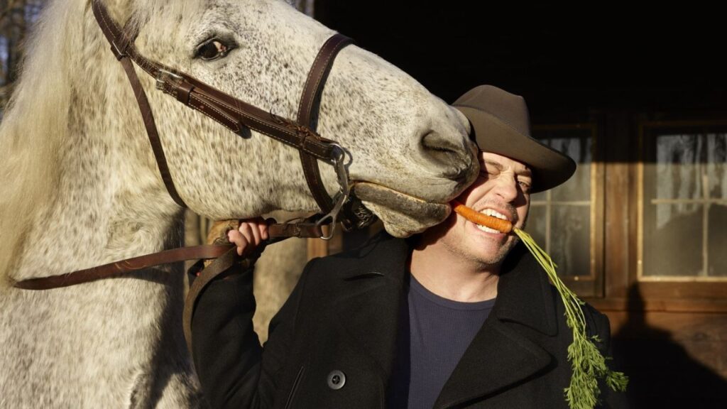 Pecas – Percheron Gelding Texas Rising (2015)