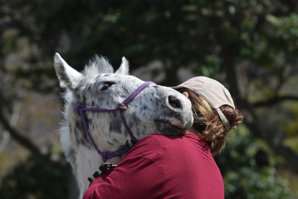 horse hugging men