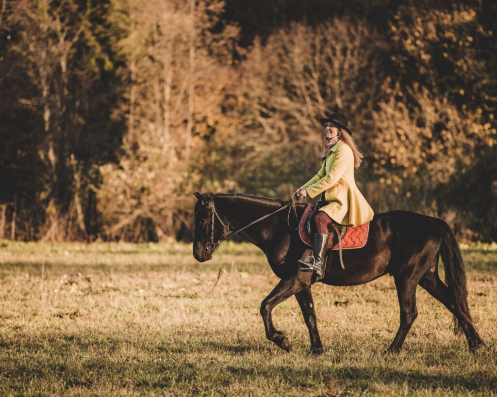 Horse riding Outdoor Activity