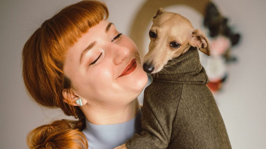 Italian Greyhound with woman