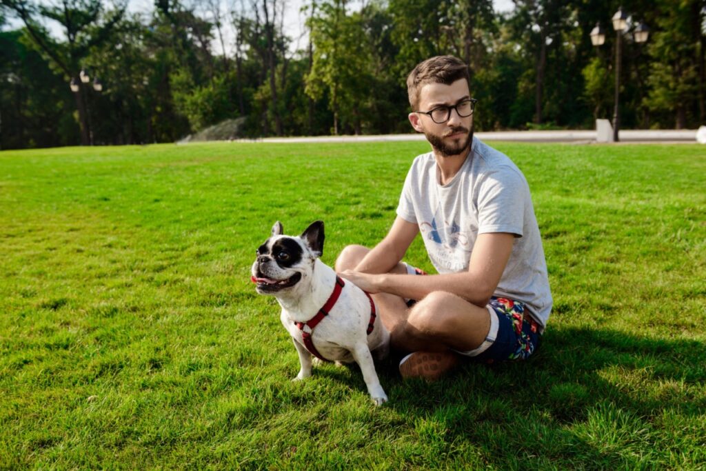 French Bulldog With man