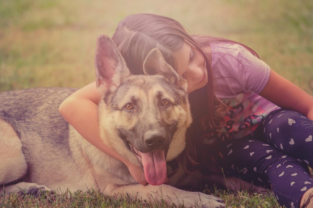 german shepherd with child