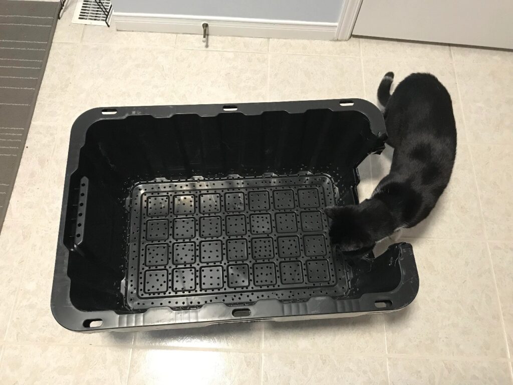 Cat Litter box big
