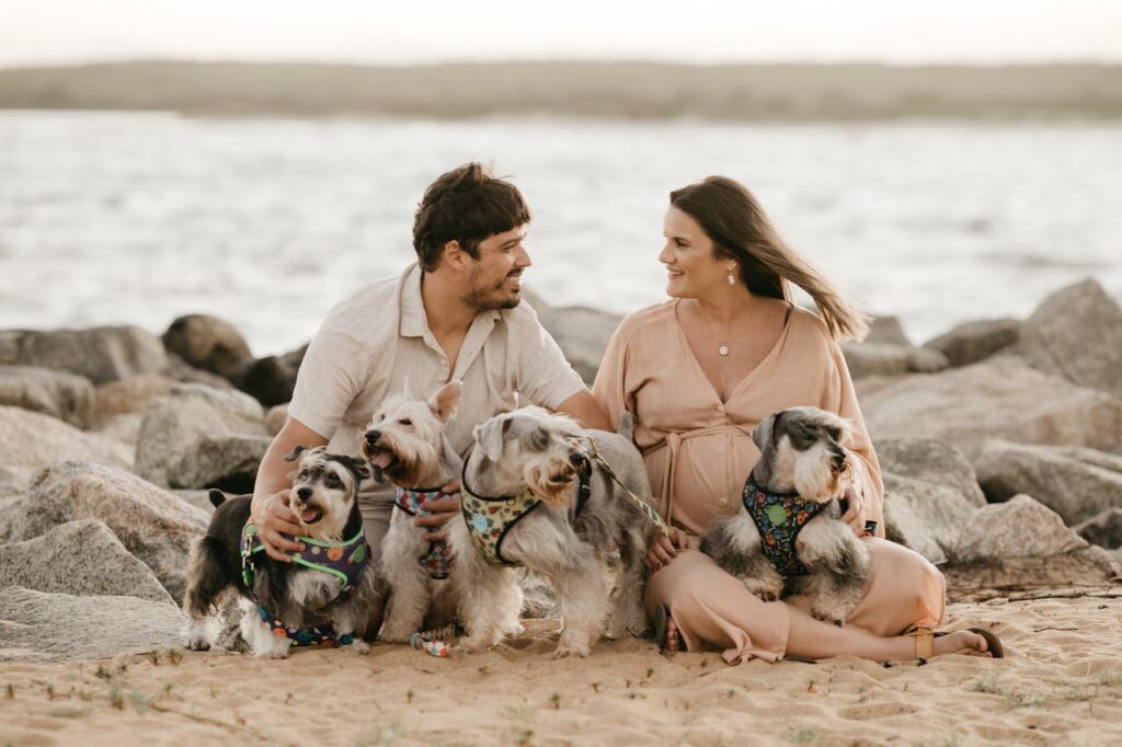 dogs with family