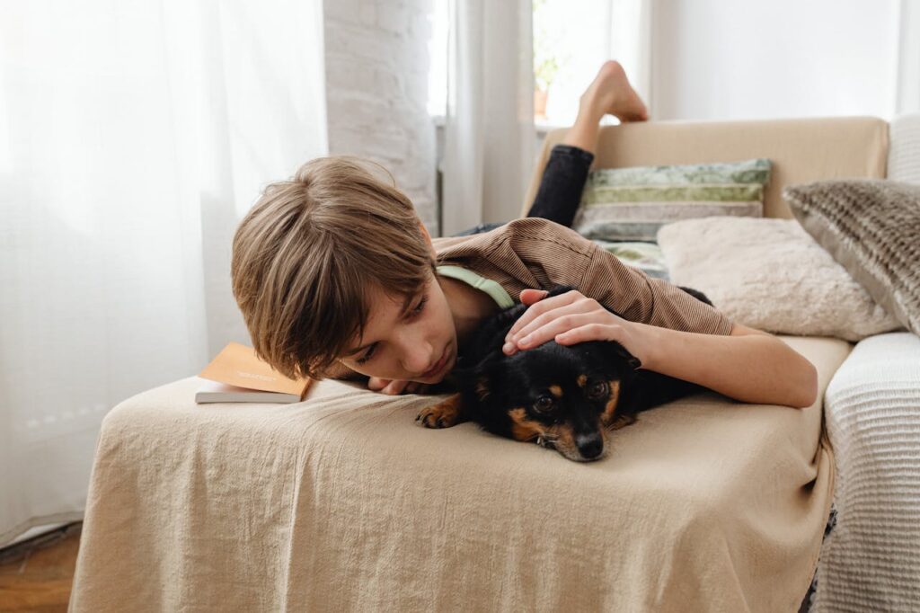 dog on bed