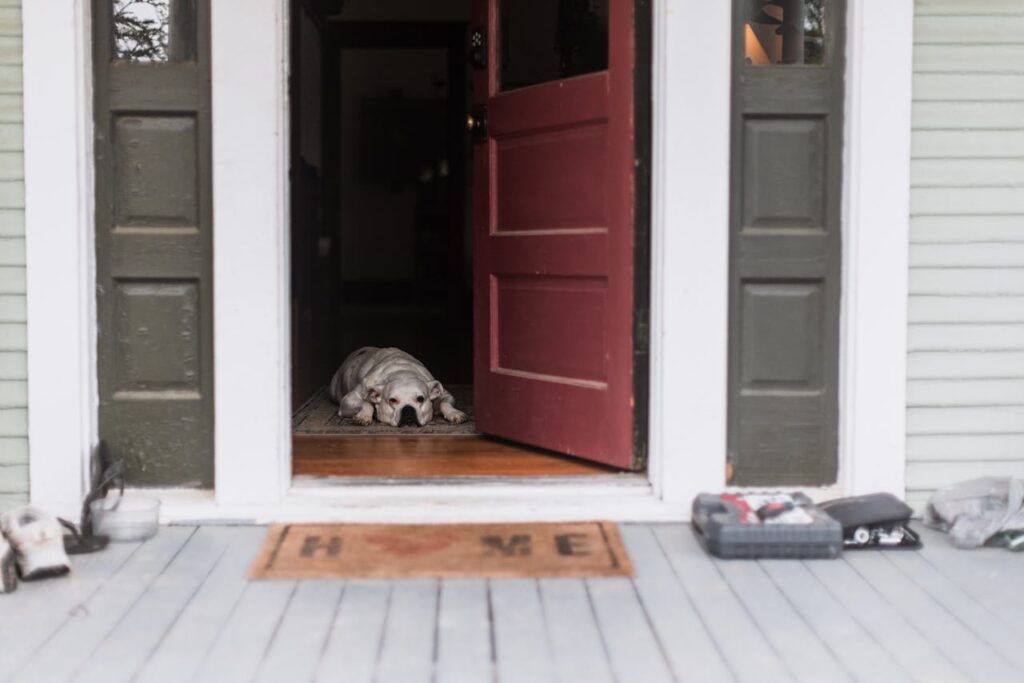 dog door