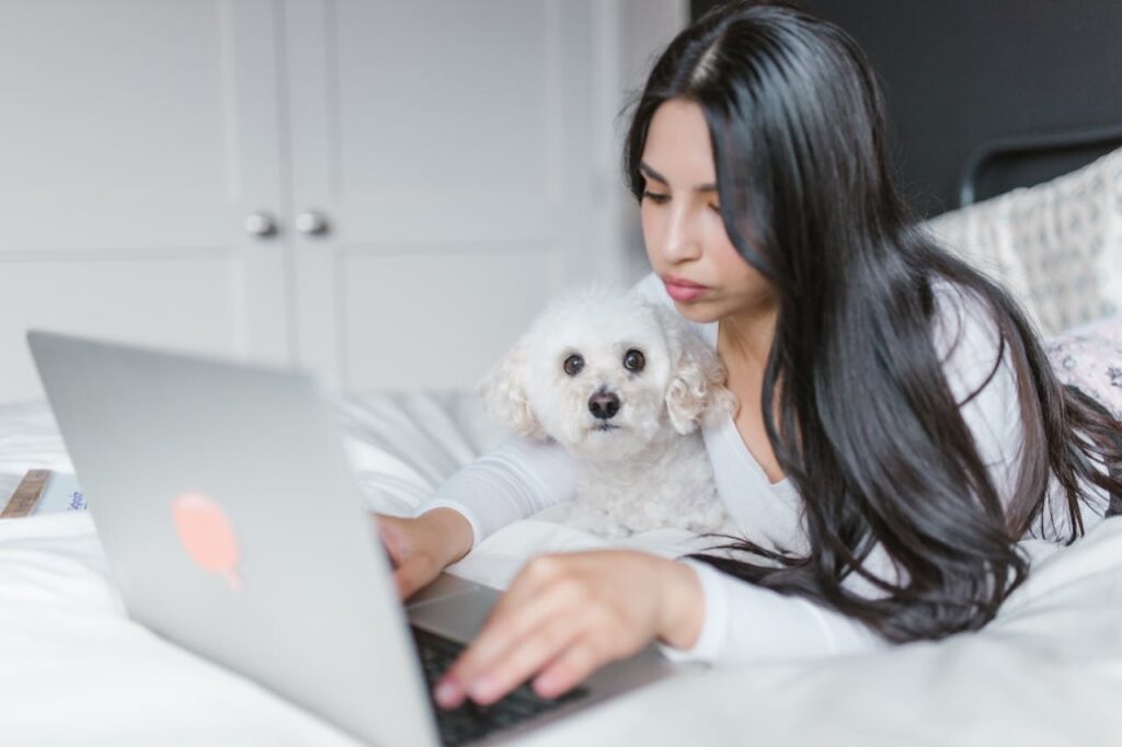 Woman Lying on a Bed While Using a Laptop Bichon Frise