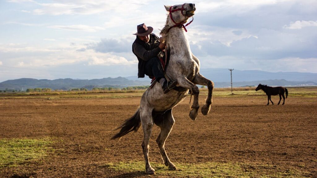Western Riding Horse