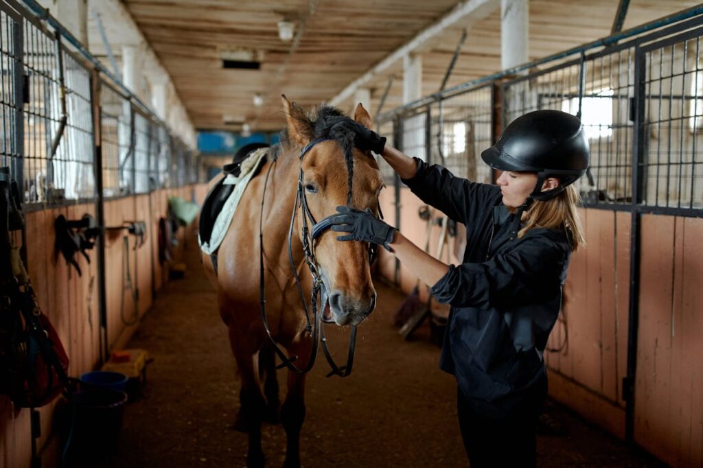 Majestic Horse Breeds That Command Attention Everywhere They Go
