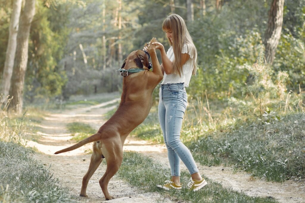 Boxer dog outside with women