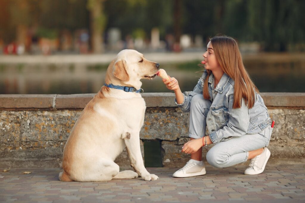 Girl Giving Ice-Cream To his dog