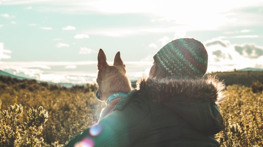 A young woman hugging and kissing her dog at sunset.