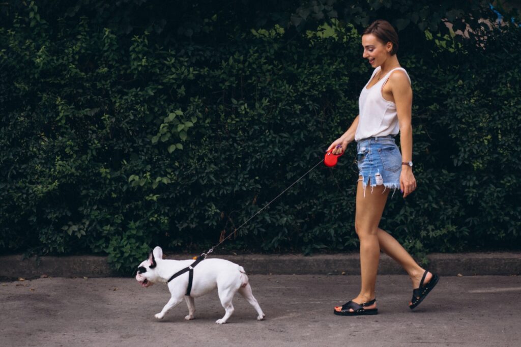 Woman with her pet French bulldog (walk)