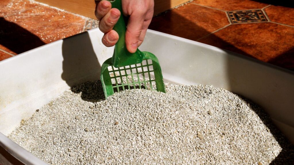 cat litter Deep Clean Monthly