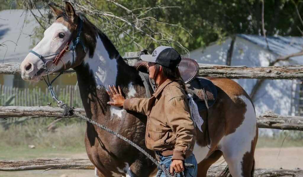 Person touching a saddled Quarter Horse.