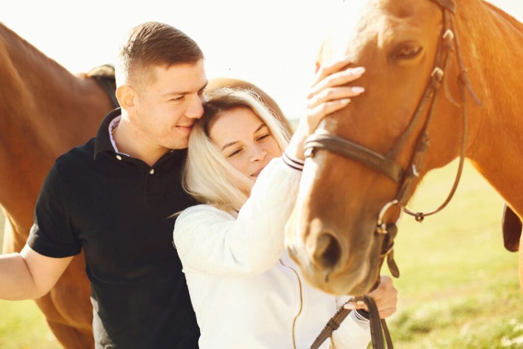 Give horse comfortable home