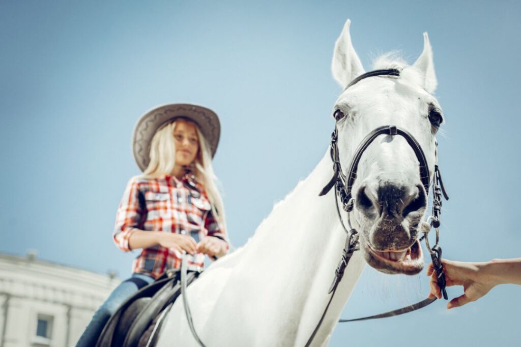 Horse giving smile while going on adventure walk