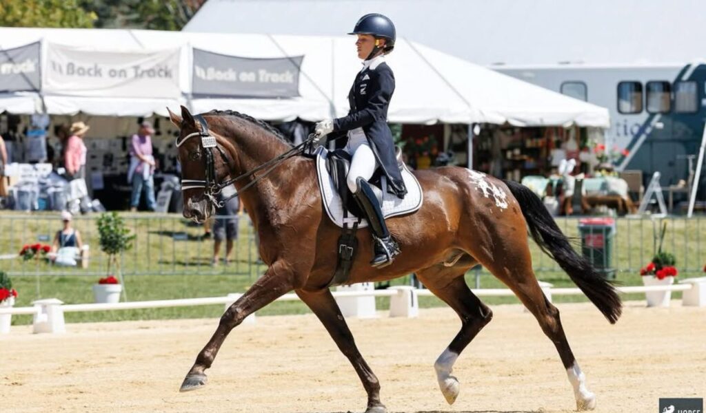 A rider in formal dressage attire on a warmblood horse in a competition arena.