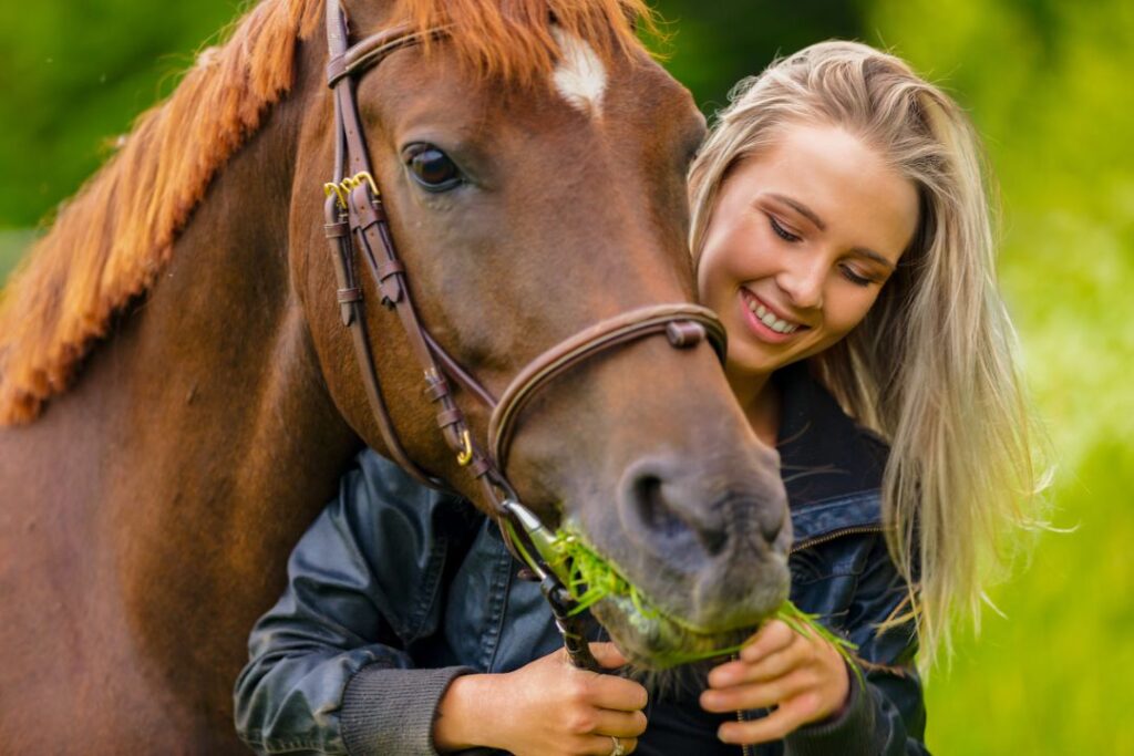 Learn horse language