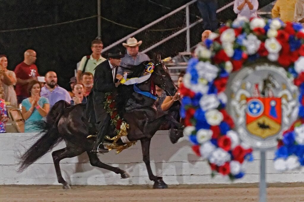 Tennessee Walking Horse