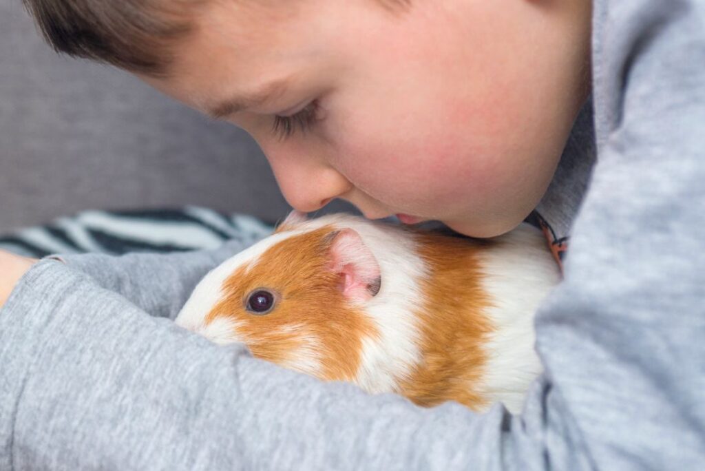 7 Reasons Guinea Pigs Make the Perfect Pet for Kids
