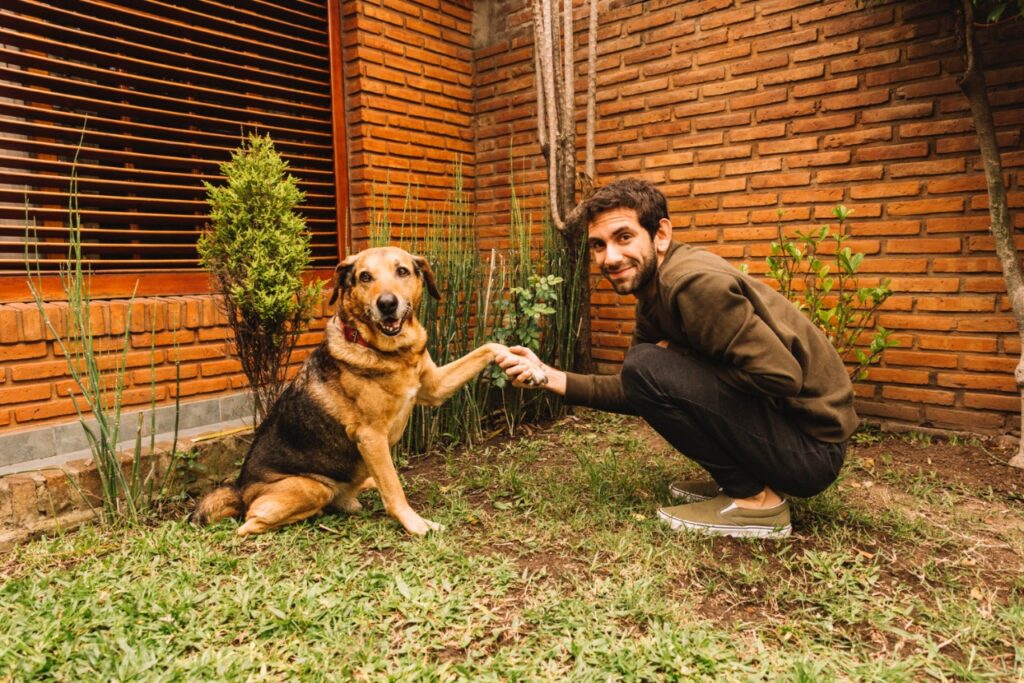 Dog hand shake