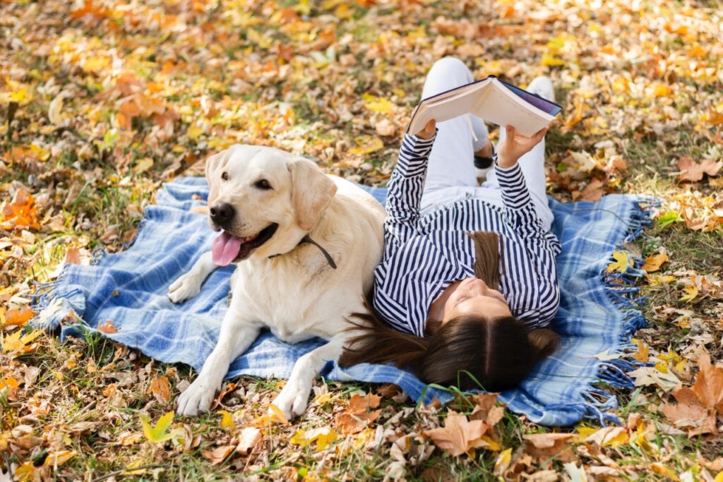 Relaxed dog with woman