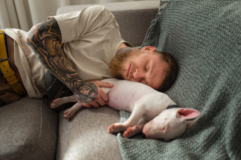 Dog sleeping