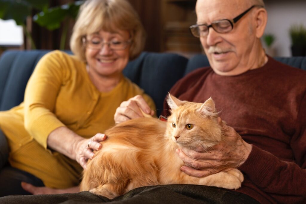 Cat with Senior person