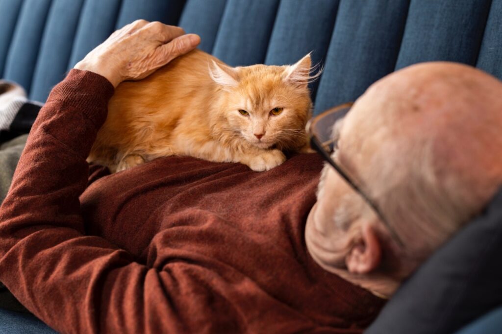 Cat with Senior person