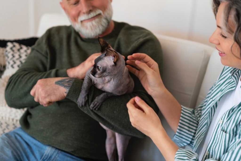 Sphynx Cat with senior