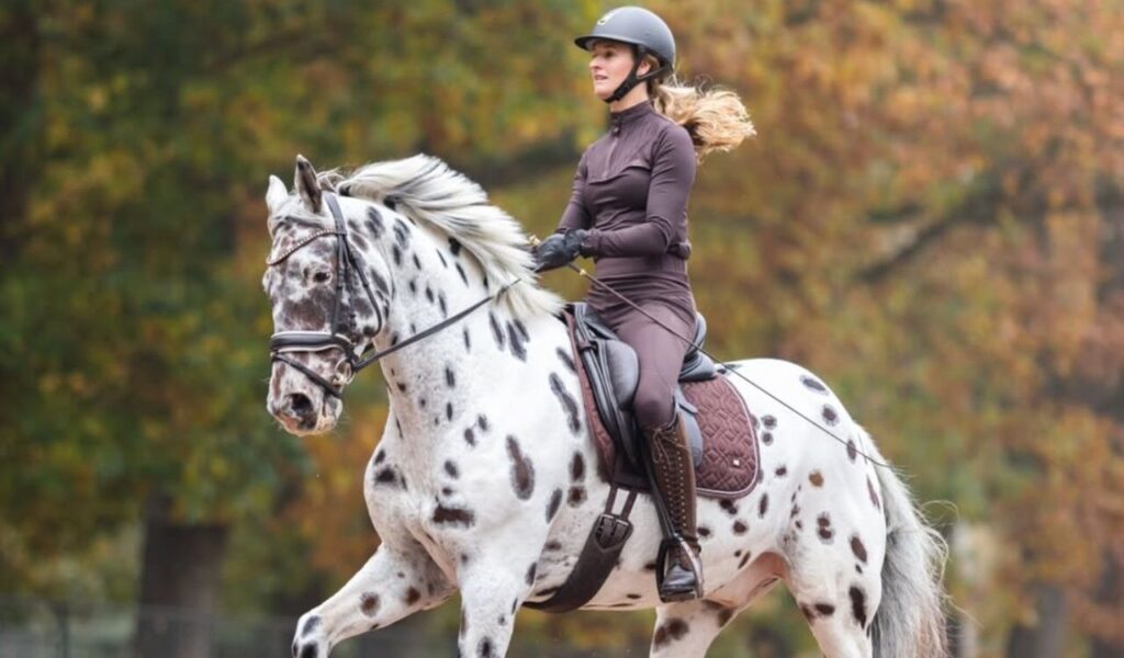 A rider in brown attire on an Appaloosa horse during autumn.