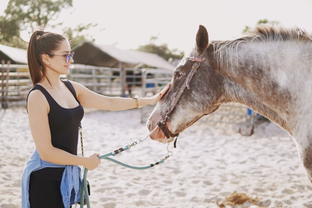Woman Petting Horse