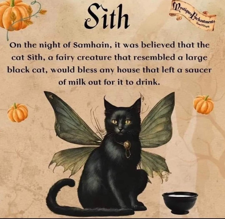 Cat Sìth, a large black cat with a white spot on its chest 