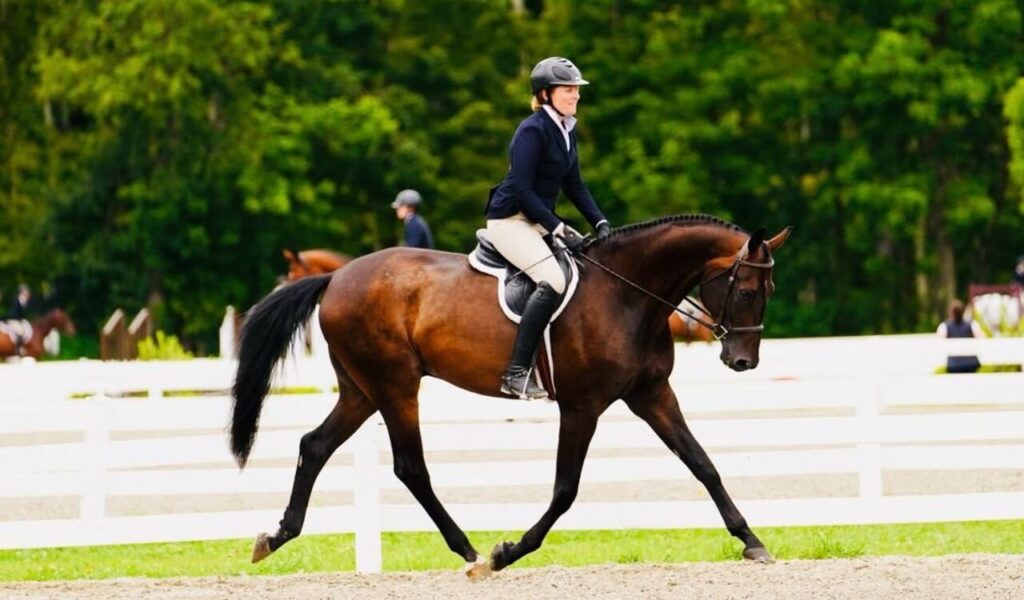 A rider in formal attire on a Hanoverian horse in a dressage arena.
