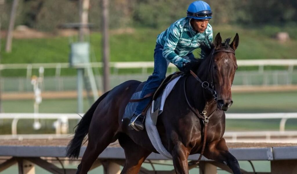 A jockey riding a Thoroughbred horse on a racetrack.
