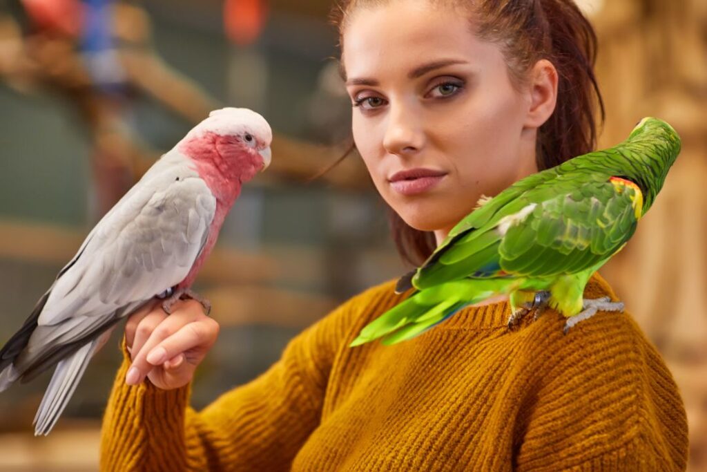Use Songs and Rhymes to teah parrot