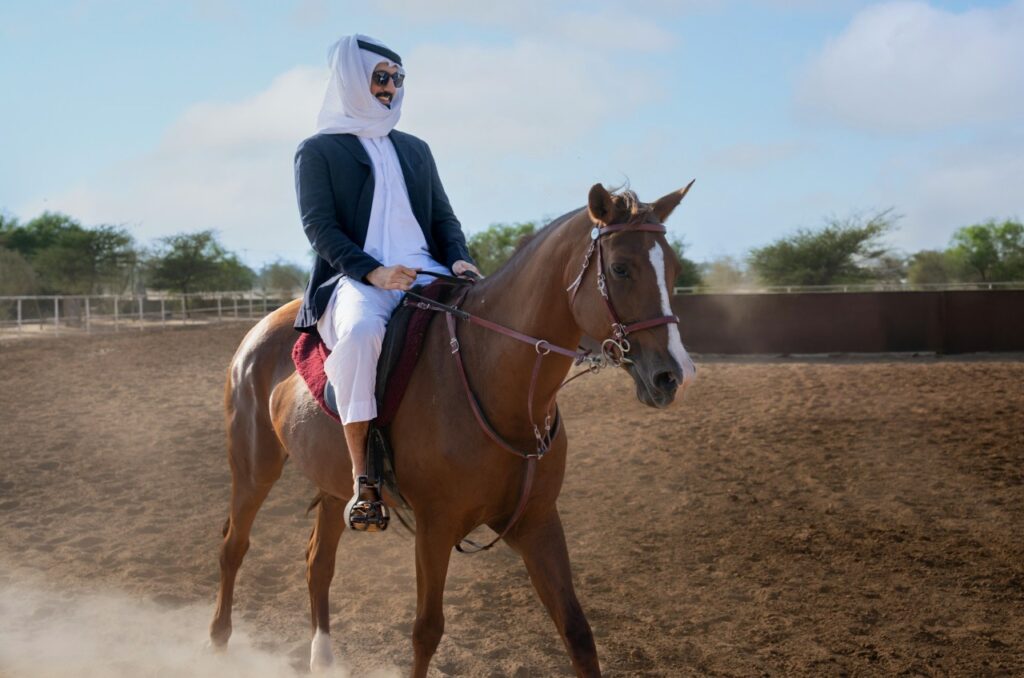 Arabian Horse