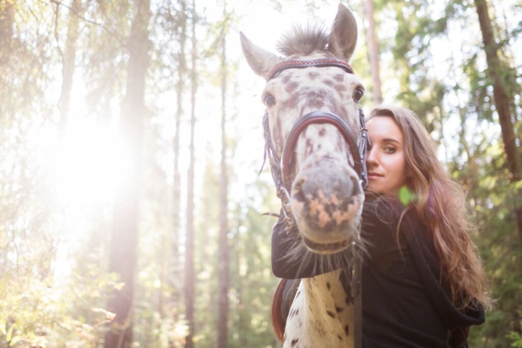 Provide neck massage to horse