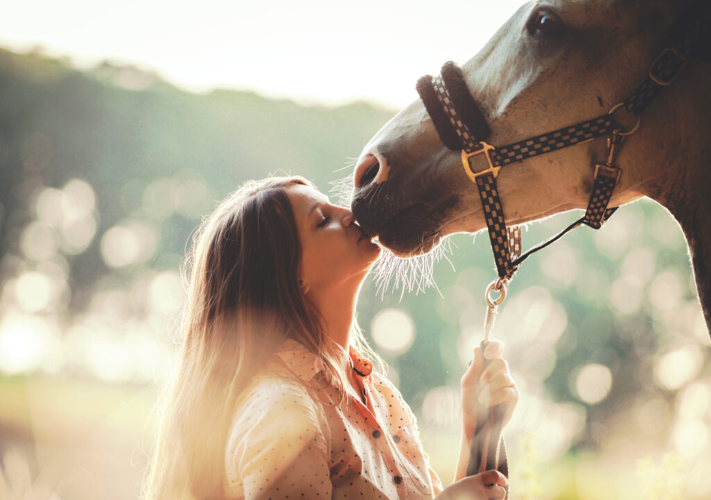 12 Ways To Show Your Horse You Love Them (and 4 Mistakes to Avoid)