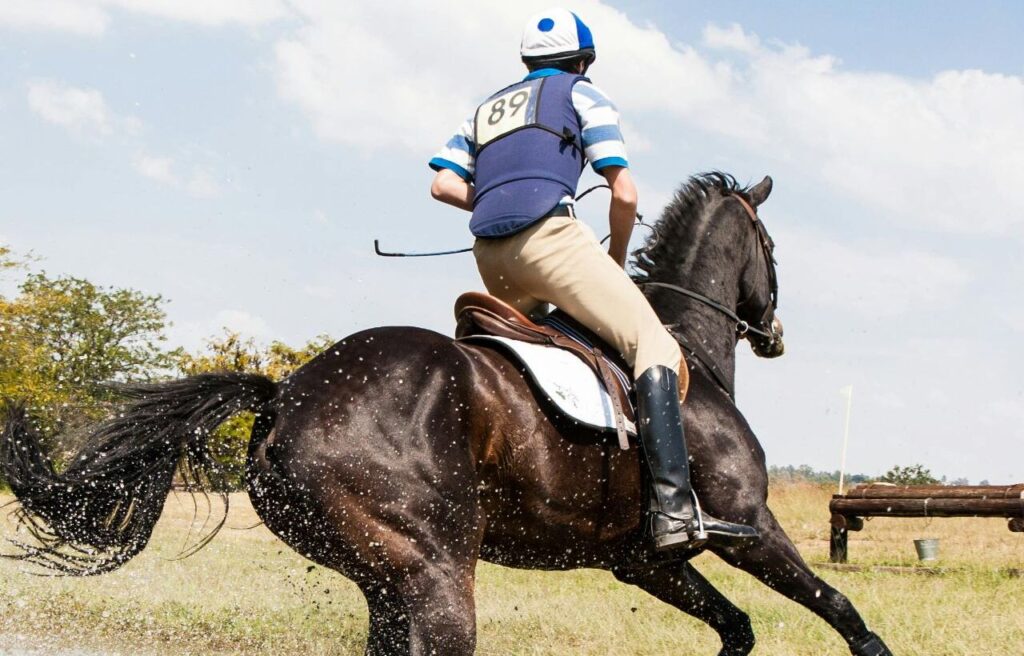 Eventing rider on a dark horse splashing through water