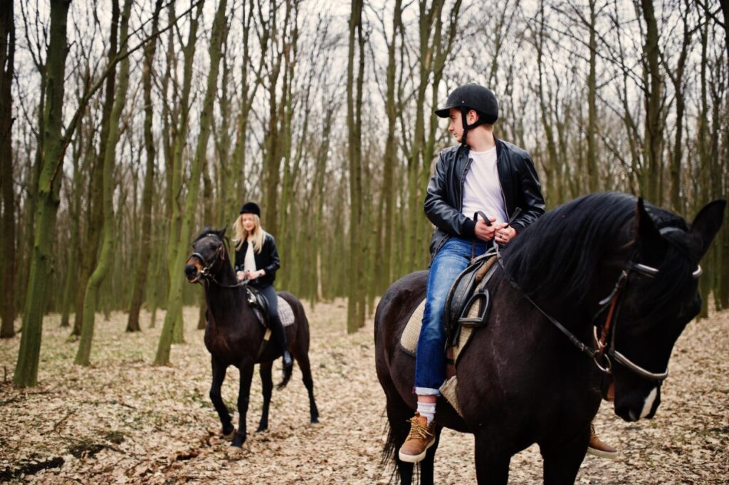 Two Horse in a forest