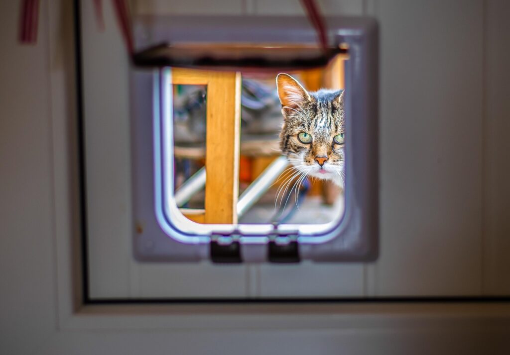 Cat Flap (Smart pet door)