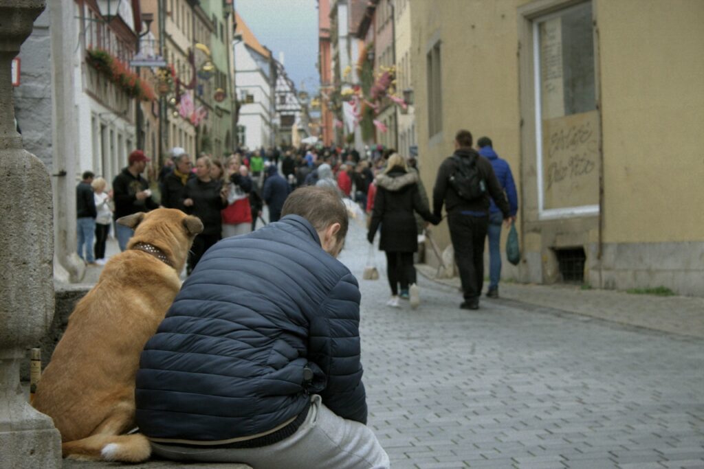 Dog at overcrowded place