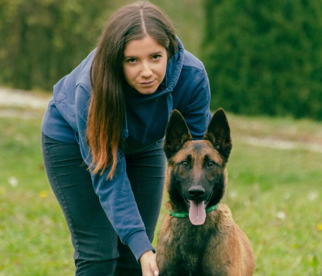 Belgian Malinois