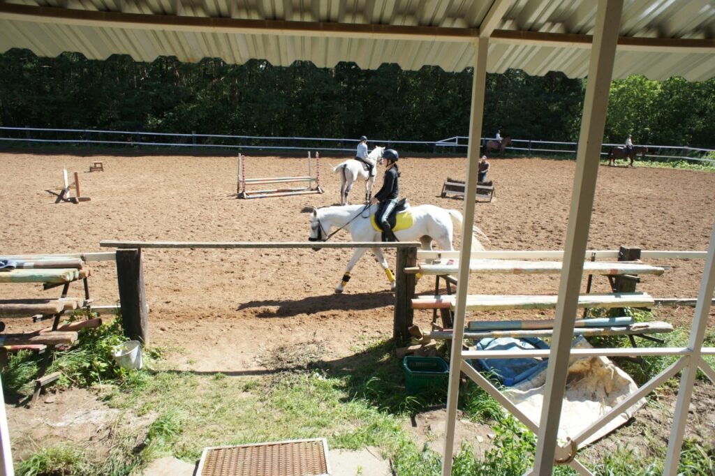 Rider training horse in an outdoor arena