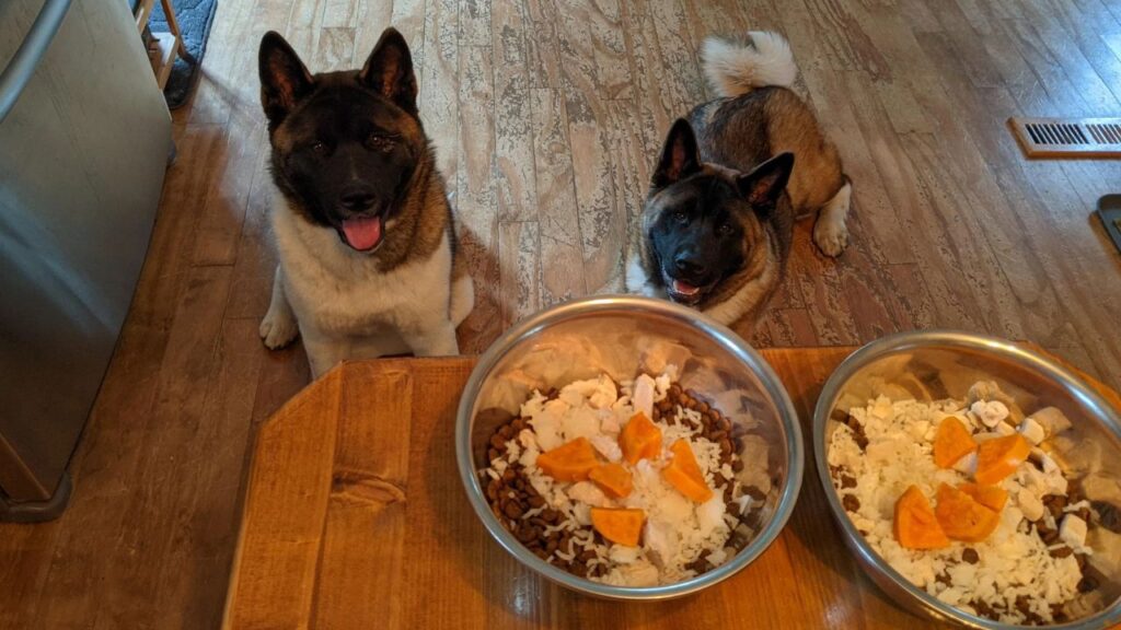 Akita Diet