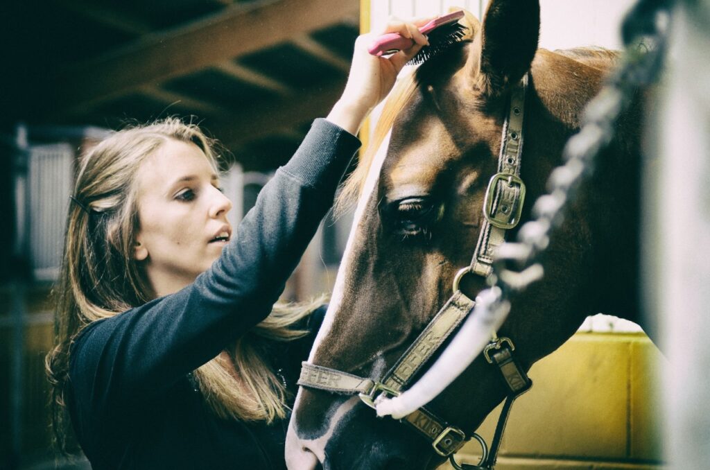 Woman grooming horse inside a stable area