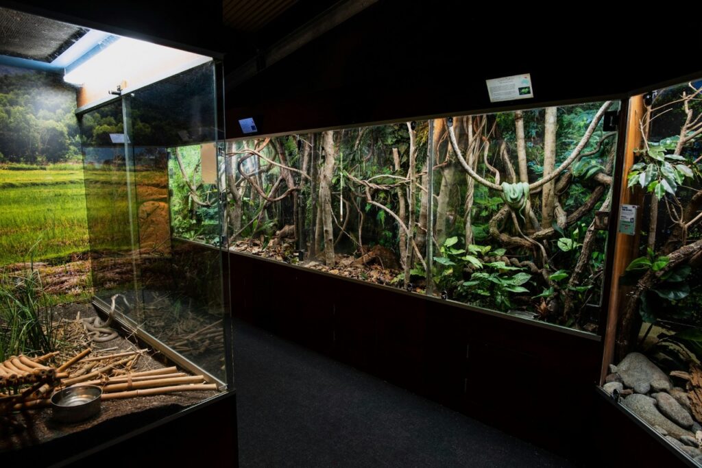 Snake enclosure